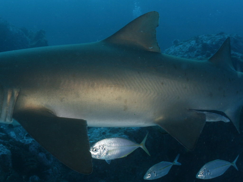 aea56080-a24c-40b2-9d01-f5aa4a637fcc