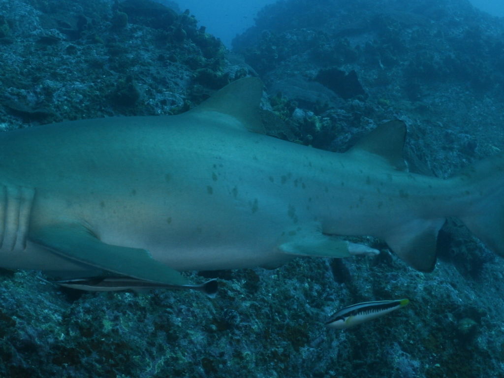 6dcf7be3-0a4f-40db-a3fc-b1e5578e29b7