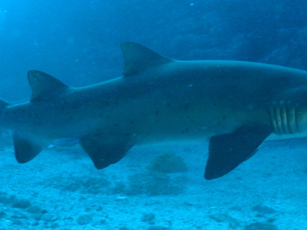 54e540fa-8869-4b5e-9efd-a18ce5c26202