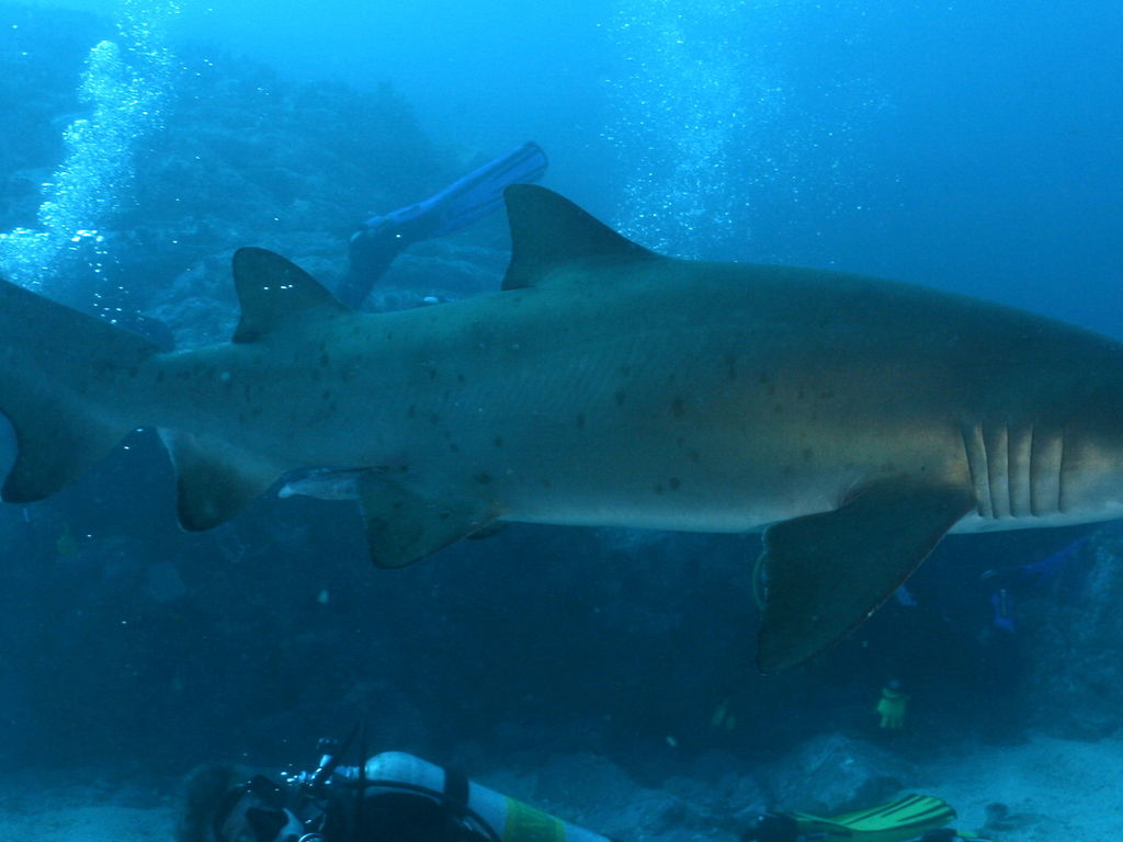 54e540fa-8869-4b5e-9efd-a18ce5c26202