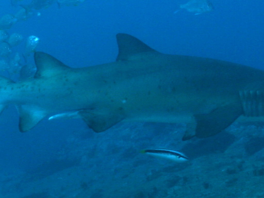 54e540fa-8869-4b5e-9efd-a18ce5c26202