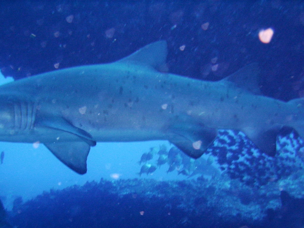 2b34d1e0-3dd8-4d7e-9d26-bc6de0a69749