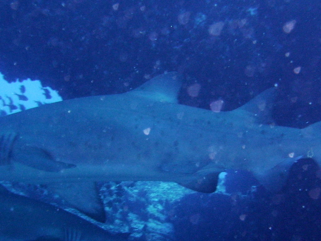 684b7f02-6894-4ed5-be5f-cf25f841aca5