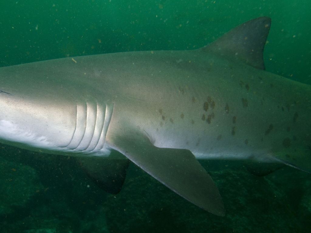 914626d1-1070-47ec-ab90-0407e531e238