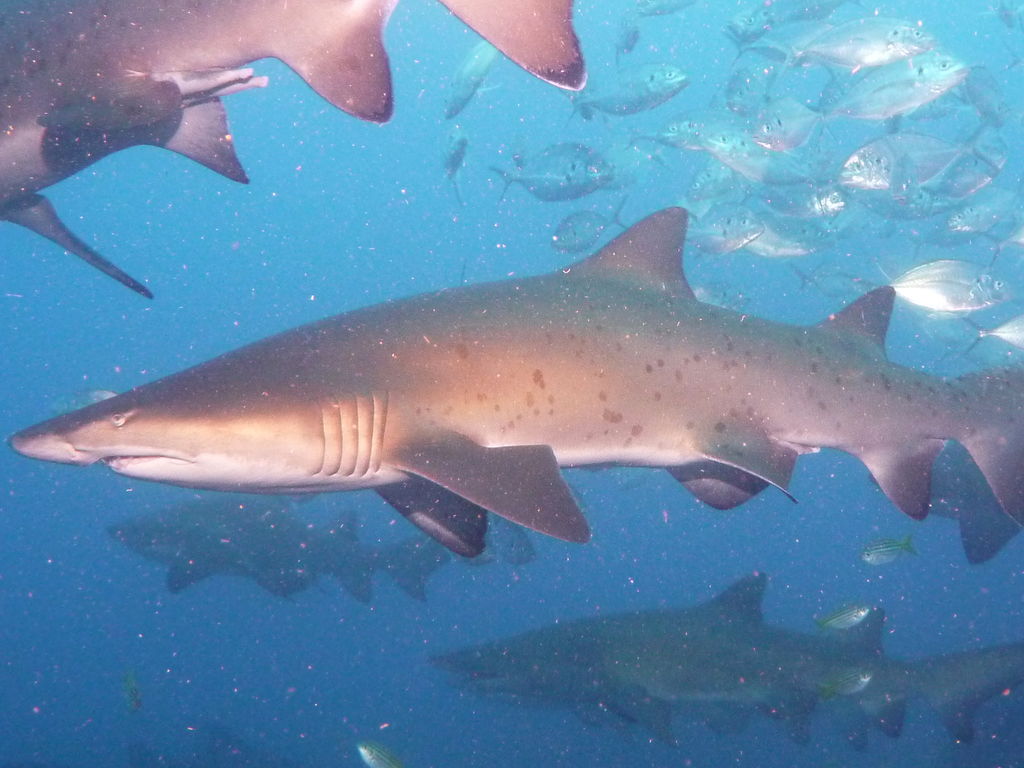 81a40491-e1c4-48dc-8d4f-b7922c12b99c