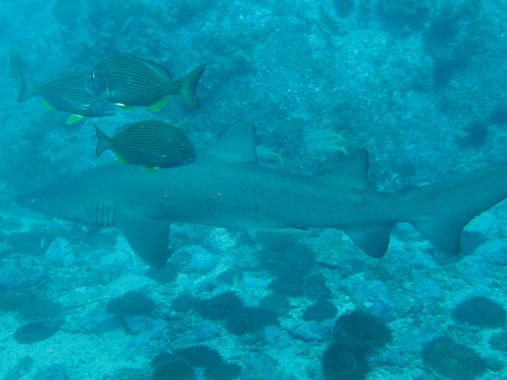 383e9244-b962-42ec-b1d1-2199cc93e38c