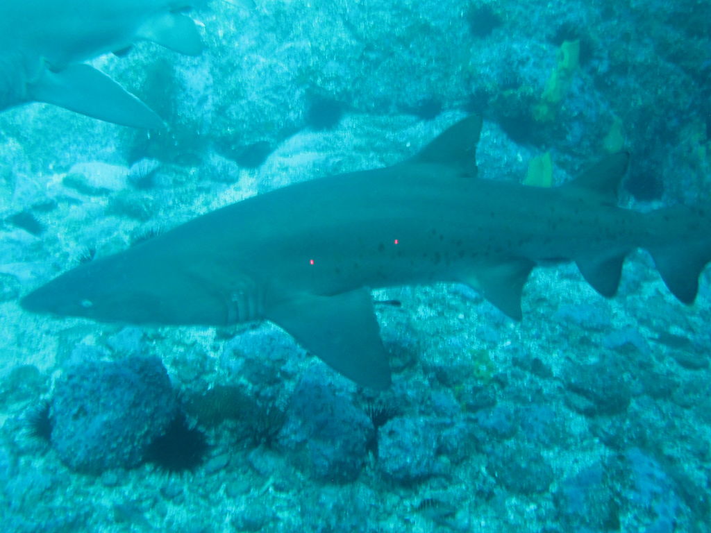 b43a108a-1bd1-4c6f-afdd-8a24ee9468e1