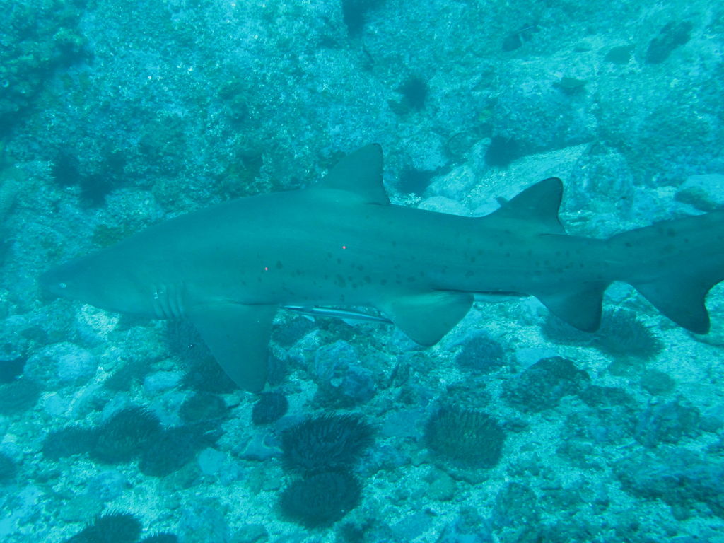 70281cfb-dc45-4e53-957b-5e40aab4f881