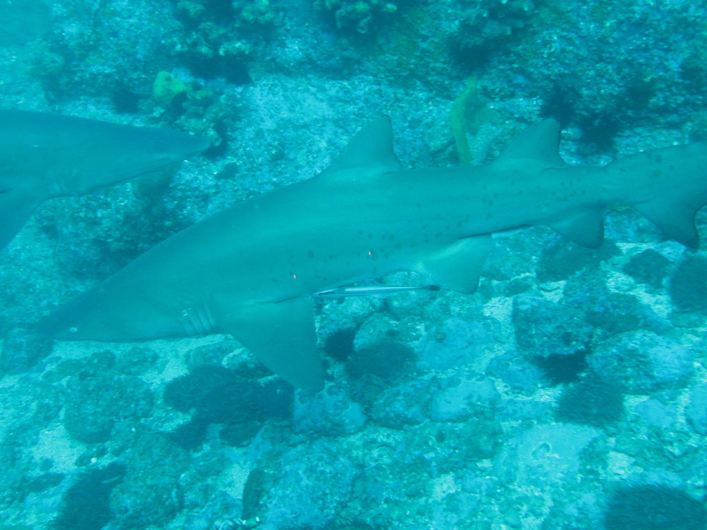 70281cfb-dc45-4e53-957b-5e40aab4f881