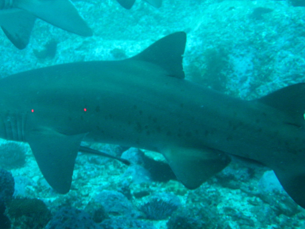 5f2576b4-2953-4c37-99d3-76bd10e5942d