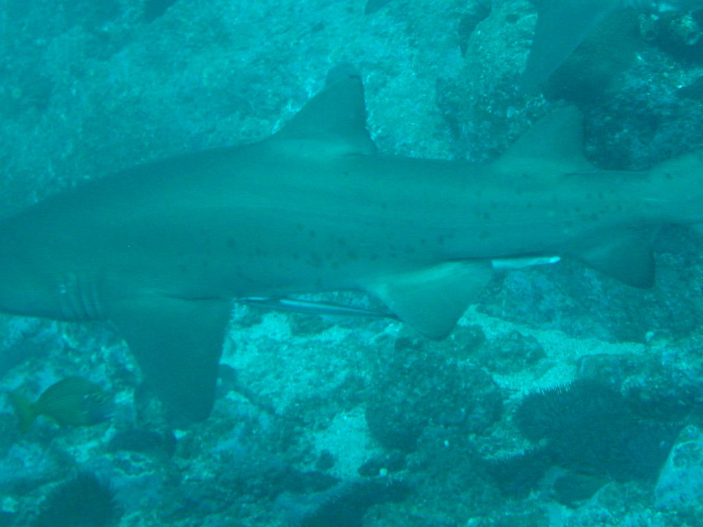 f2d58f44-846a-4b58-9506-64028826f4aa