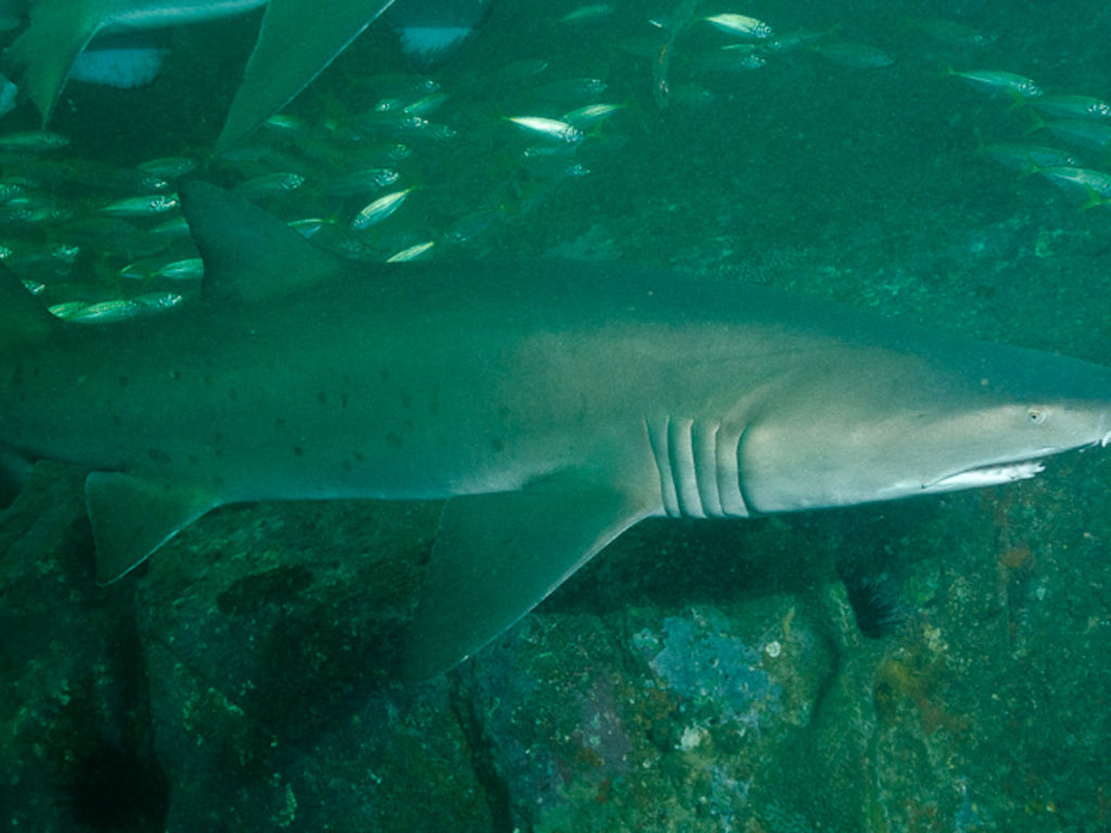 d1c60b20-c657-40d6-8376-2e269a4b6c8a