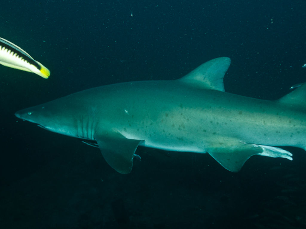 cfc89c18-2cc2-4a02-a291-06d878bae2c2