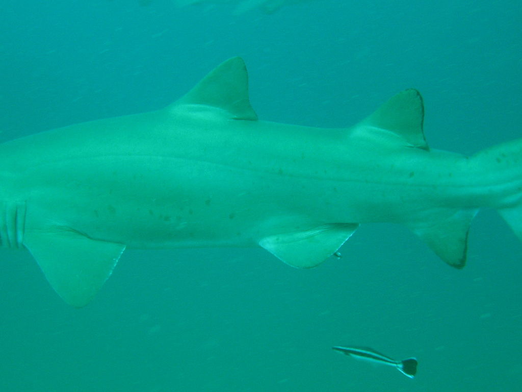 314aa976-1930-45c2-9850-b8c278b240e6