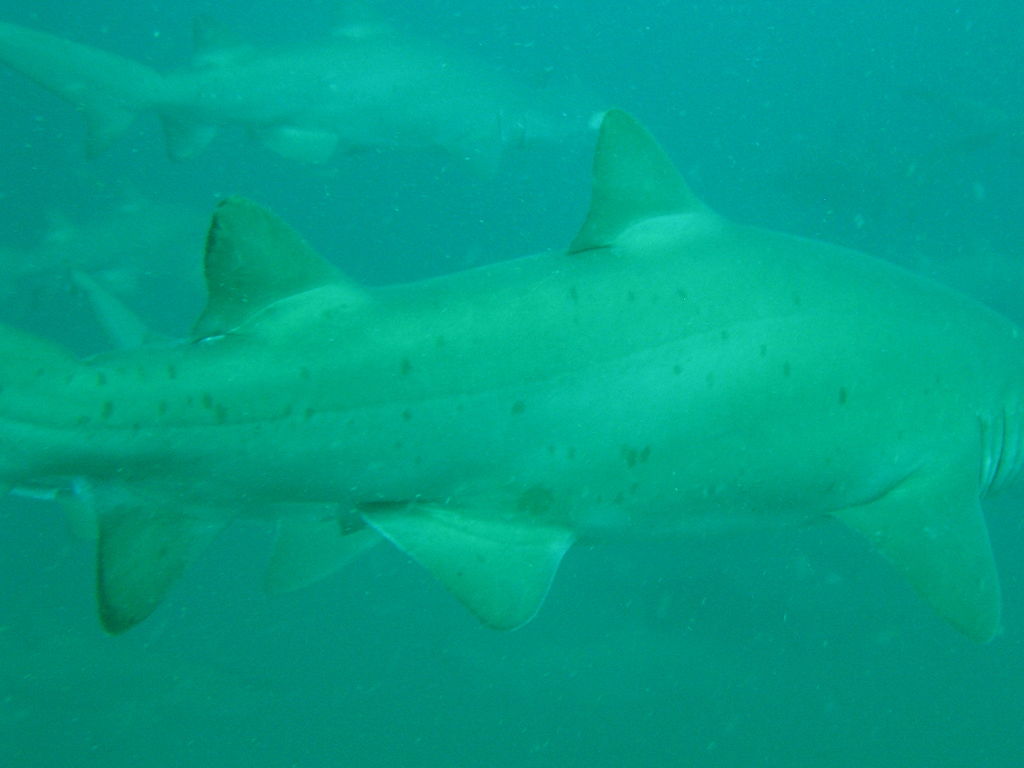 bbb66a80-e688-4262-bdfa-94292b8b0375