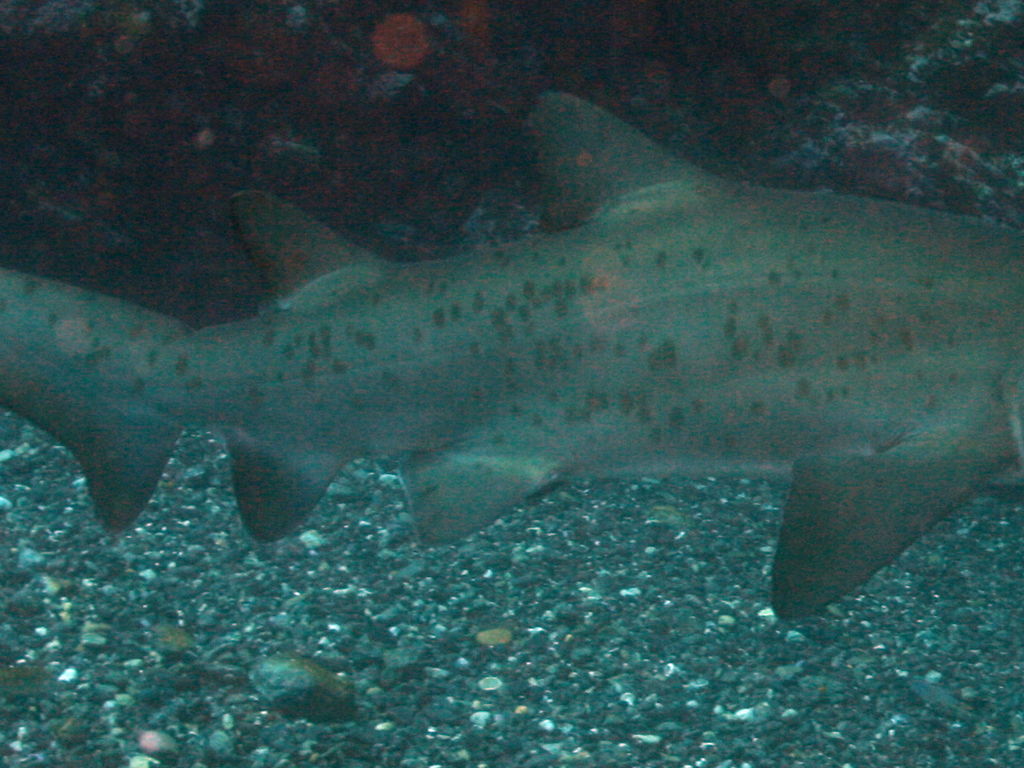 285a40c8-ff59-41fb-9ea8-e3ad6bd9adcb