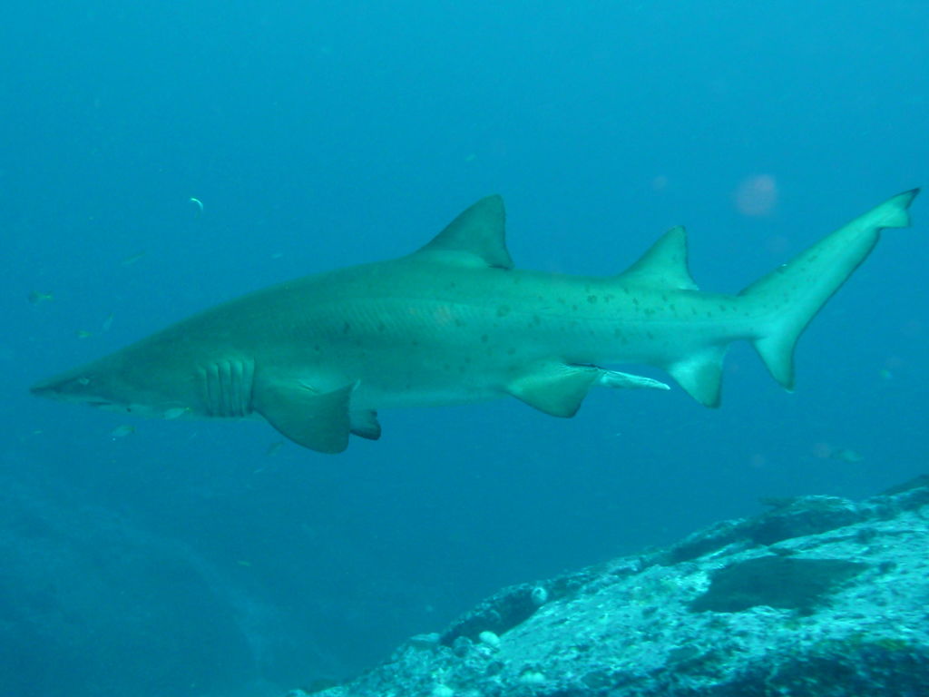 7a6de48b-c4e4-4d4a-9285-461c1be9196a