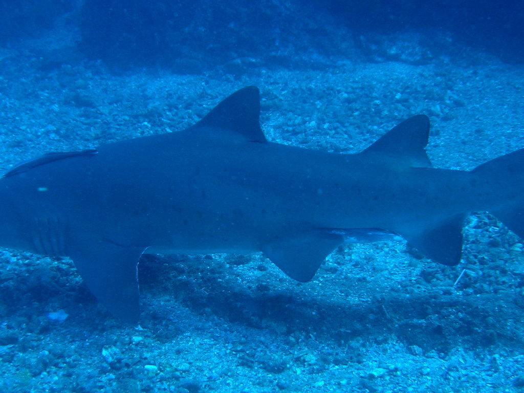 9b445674-eef3-421a-ab2b-a43baa87e26b