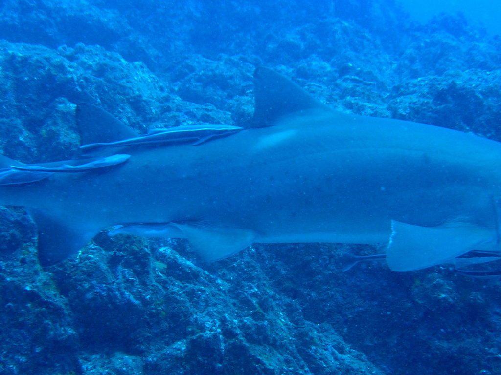 f25ca1fd-5408-47bf-8a31-036869431984