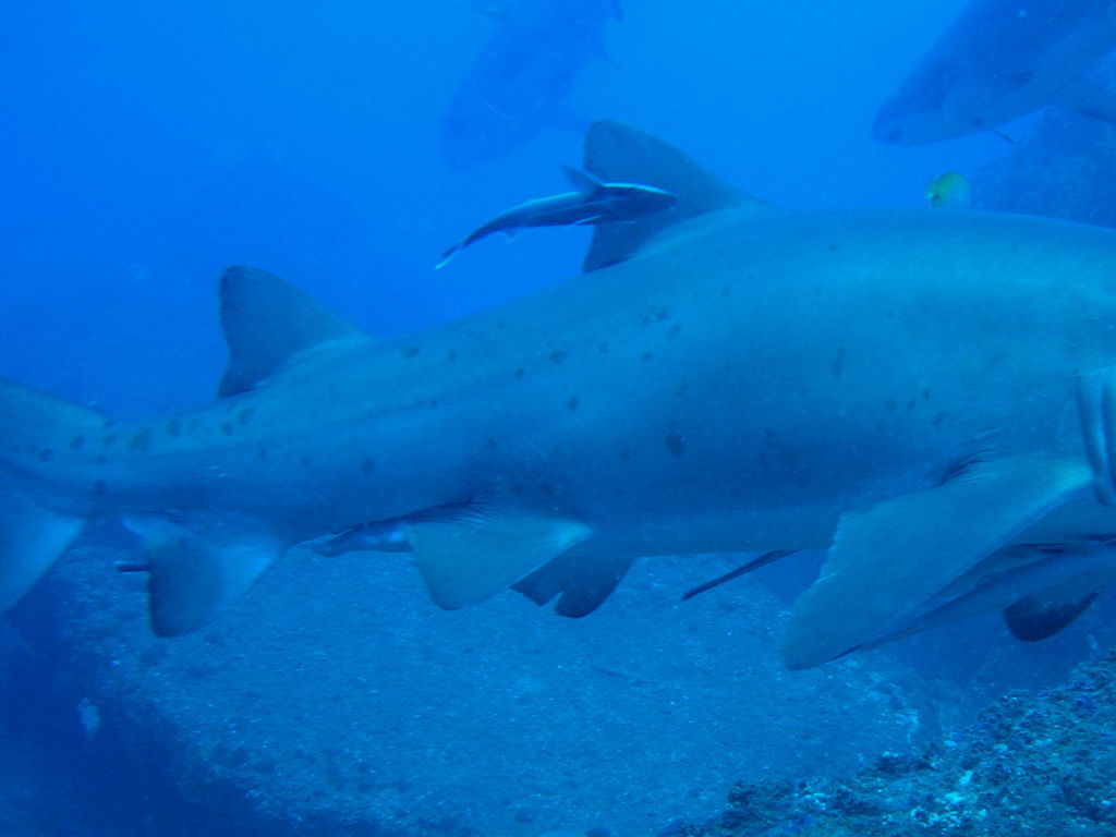 fcb7834c-e3cd-463e-a154-3523d5b1dc28