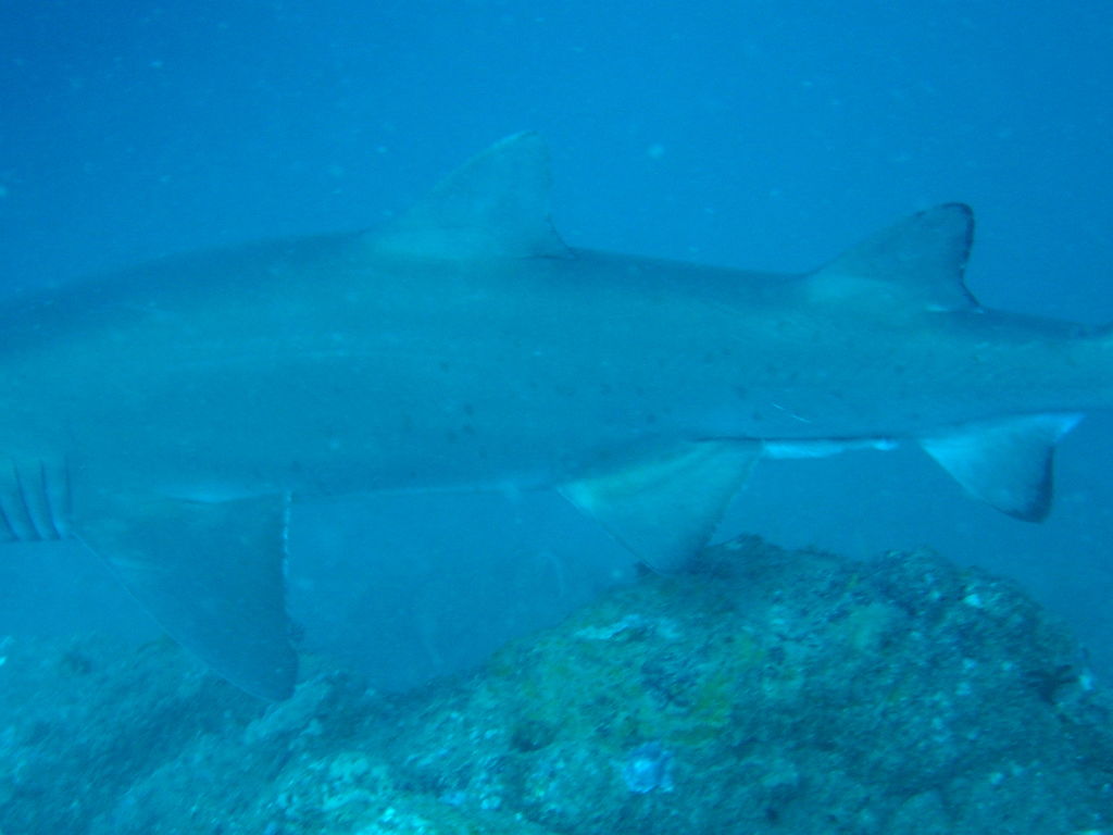 7118d363-1923-4c4f-b72c-b6d7c298ba08