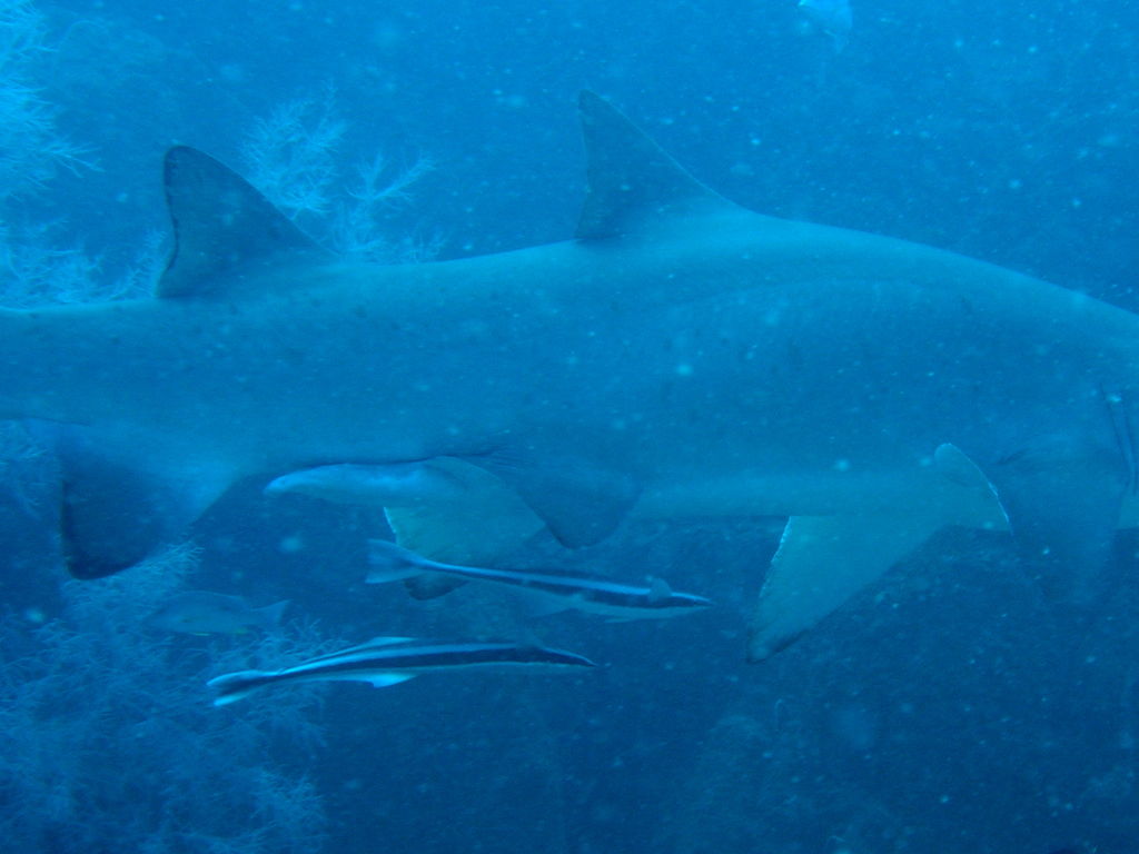 f25ca1fd-5408-47bf-8a31-036869431984