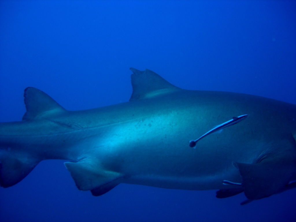 27ee1bf8-e2db-4e3d-ad14-2d82d4387583