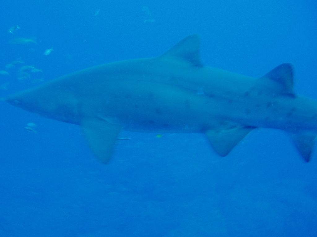 ce5fb6ff-3e9e-4621-ba45-821ef5c7e451