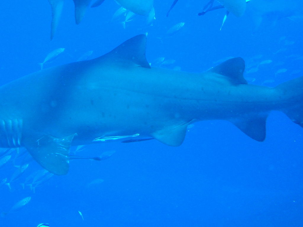 3f72451d-97dc-49de-8c46-76c6f74602b7