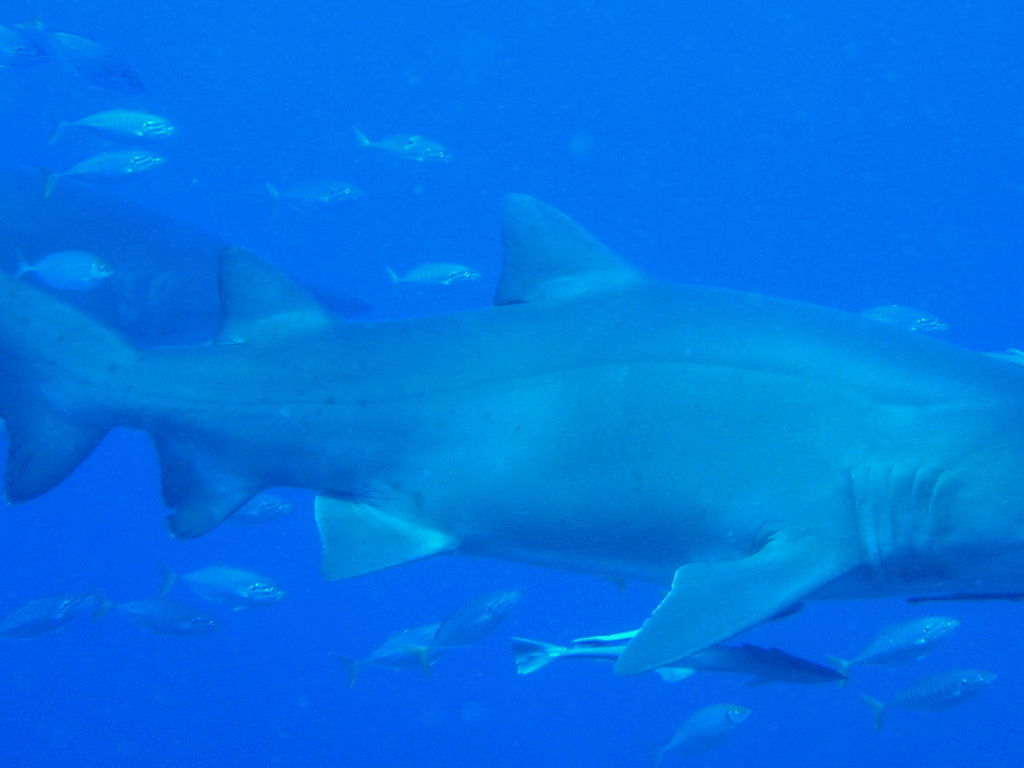 c8af417c-420f-4ded-8bec-68f2d5162790