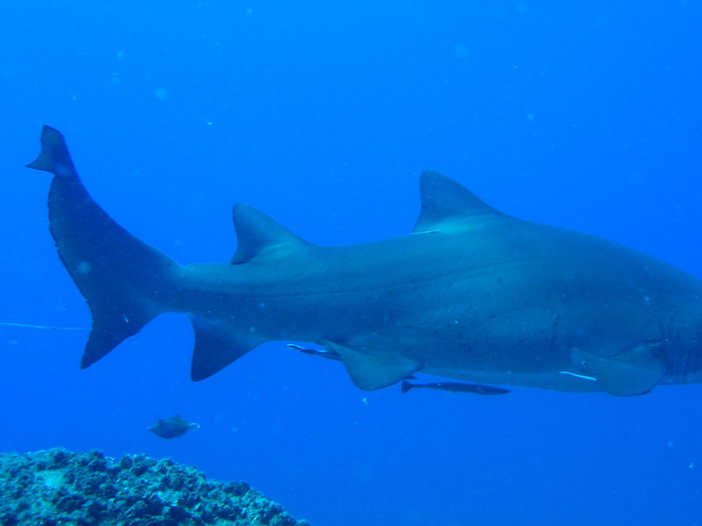 84677a9a-e44b-4de5-8e9d-841ad0b34fd2