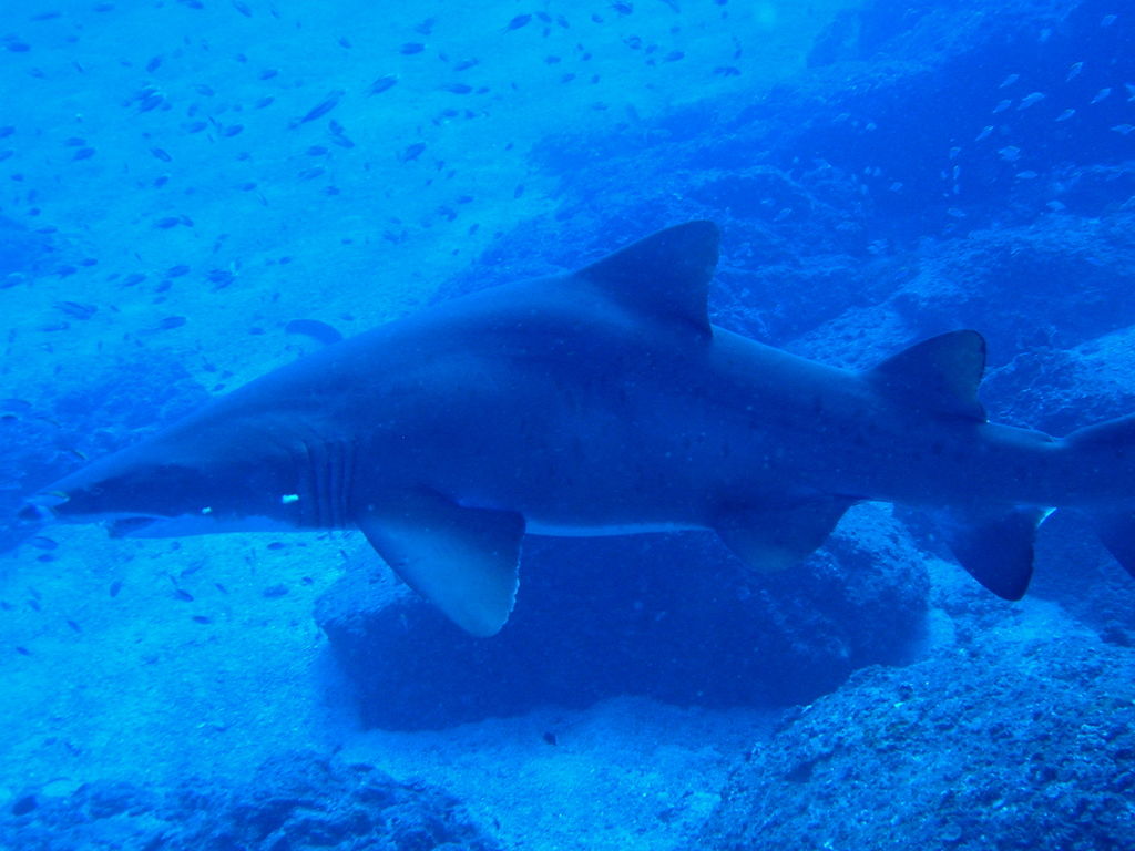 f630361e-526d-4098-8608-306a5a7a9d54