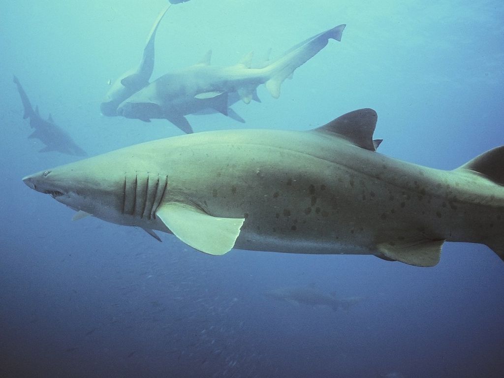 9d96d1c3-3419-412b-bc9d-97e1644b1220