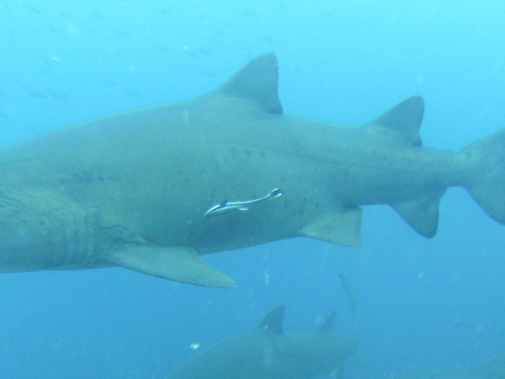 b645e76e-051c-4677-b2ae-657a70c52fbc