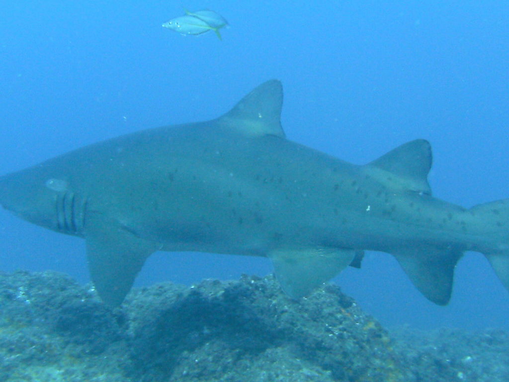 60662fdd-b071-4ec4-b585-8af0fac15576