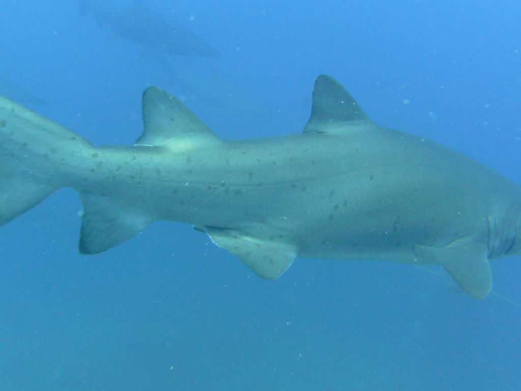 701e831d-ce41-4e34-a3b5-21ea247ba47f