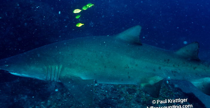 5106b715-a1d8-4c46-b05f-48cd45d0c6dc