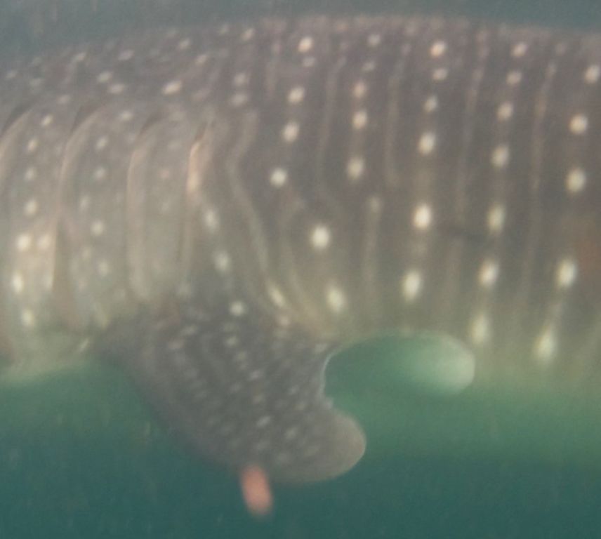 5011e055-415f-403c-a29a-3a0eb9b9d946