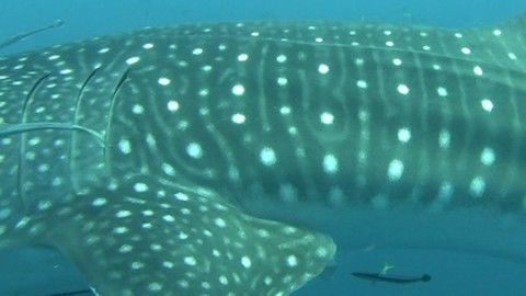 d84aa271-494a-4c4b-99bf-68c047e9bc28