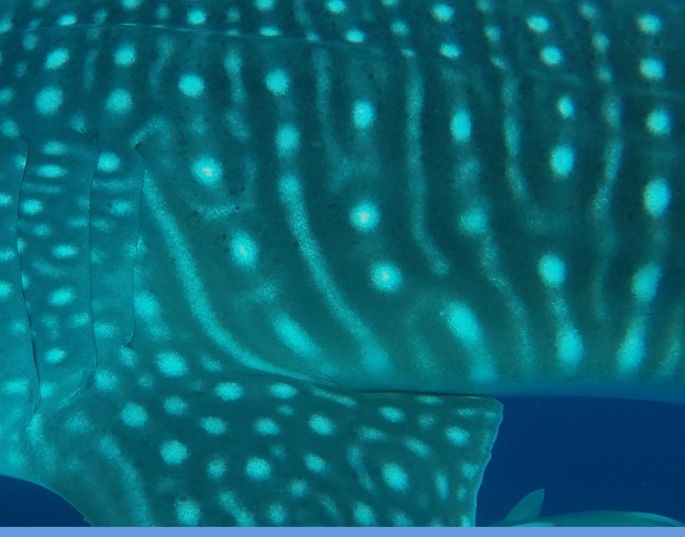 ad726580-e327-4da4-b59f-0fcdcb2ebe3b