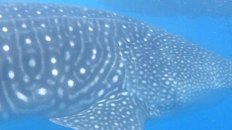 e8699b68-470f-449f-bfd0-92ee9f49ac7c