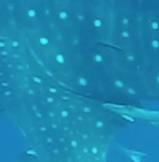 2b783502-1175-4b84-bb5c-c4704f0b29d1