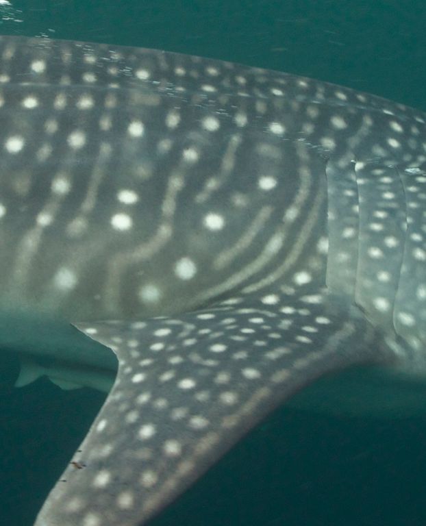 8485e999-7eb0-4e20-a3db-f38e09a8a534