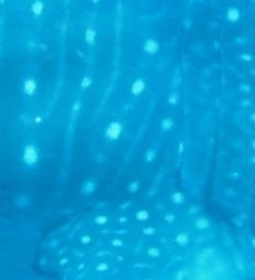 49064f67-aee6-43d6-ab7a-fd7291d41715