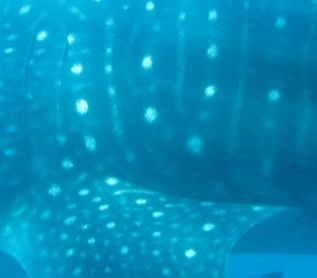 49064f67-aee6-43d6-ab7a-fd7291d41715