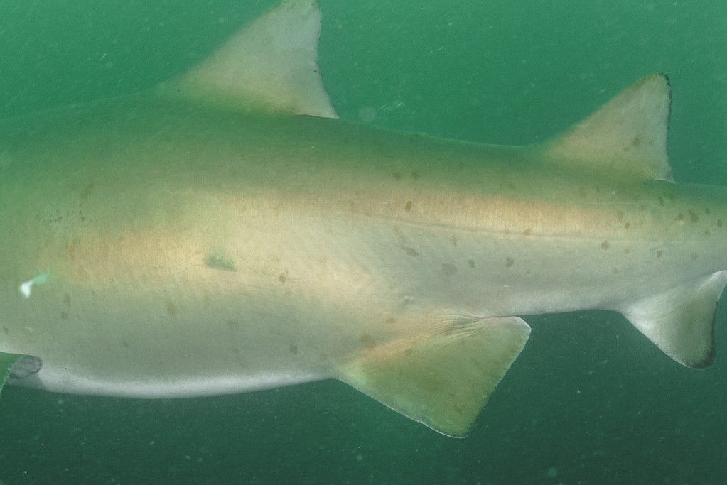 fa285150-2bb9-4bec-a5ca-ee96e5f83138