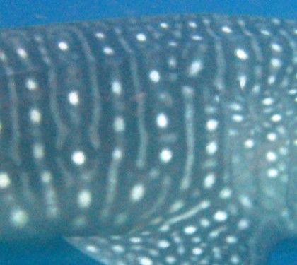 13ff30c6-dd05-4a43-bdbf-b7c4fdca360d