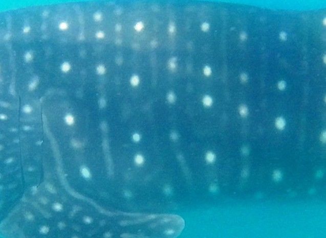 0e26e24b-db95-40c5-84dd-eb3f80e99bbf