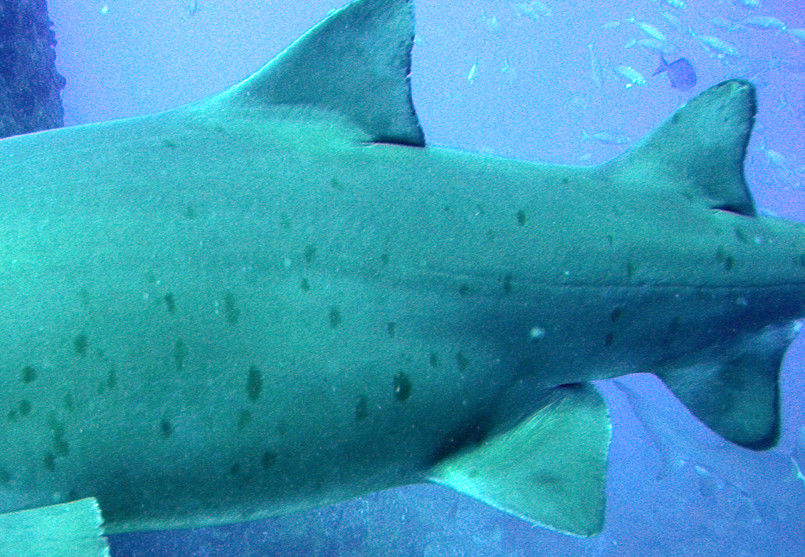 3f0574fe-40ed-4789-b4d5-9e7d25222bd9