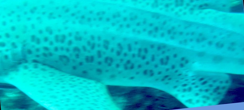 bf59740e-5541-45d5-8317-bd8bc671eead